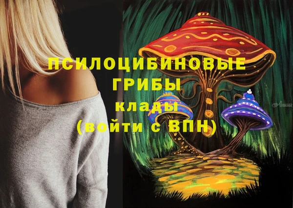 ECSTASY Вязники